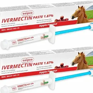 Ivermectin Paste Horse Wormer (1.87 Ivermectin) - 6 DOSES, Model: , Home & Outdoor StoreQ