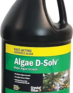 EasyCare FounTec Algaecide and Clarifier, 8 oz. Bottle